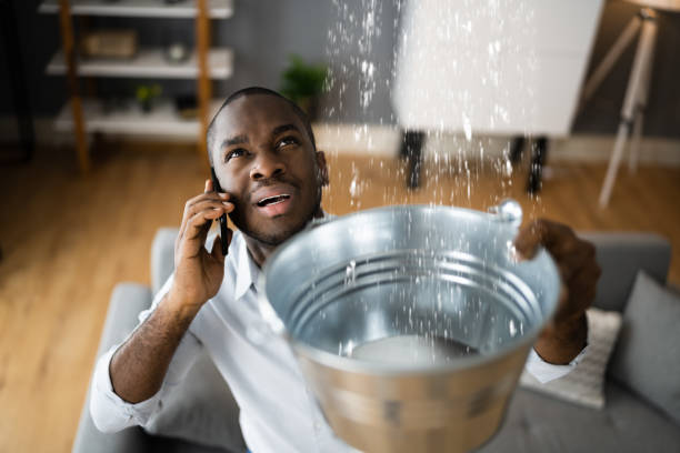 Best Residential water damage restoration  in Charles City, IA