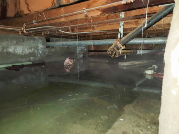 Best 24/7 water damage repair  in Charles City, IA