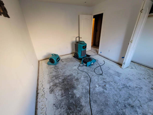 Best Water damage restoration mold remediation  in Charles City, IA