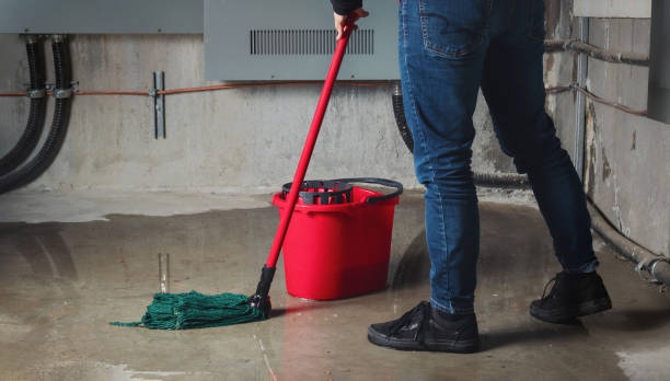 Best Emergency water damage restoration  in Charles City, IA