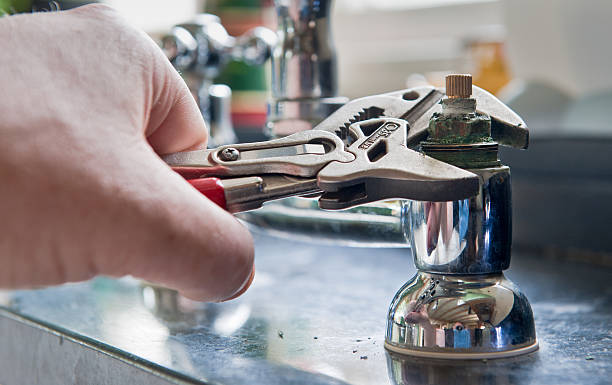 Best Flood damage cleanup  in Charles City, IA