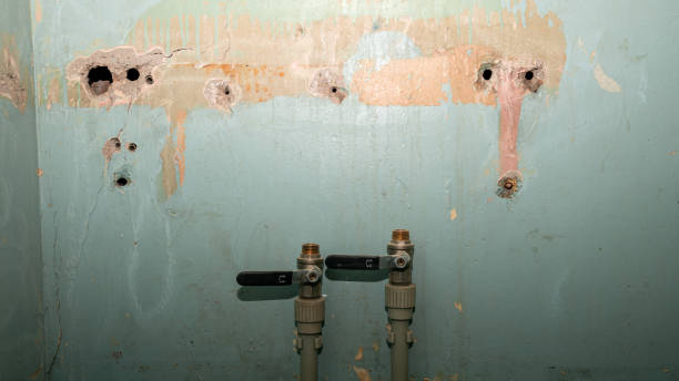 Best Water damage contractors near me  in Charles City, IA
