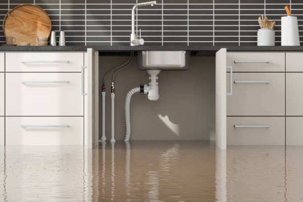 Best Water damage restoration process  in Charles City, IA