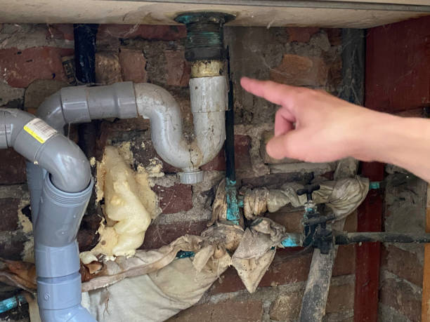 Best Ceiling water damage repair  in Charles City, IA