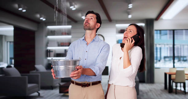 Best Flood damage cleanup  in Charles City, IA